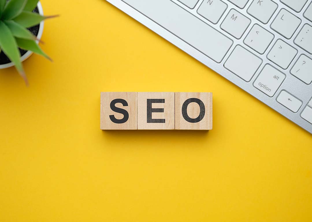 SEO Services Provider